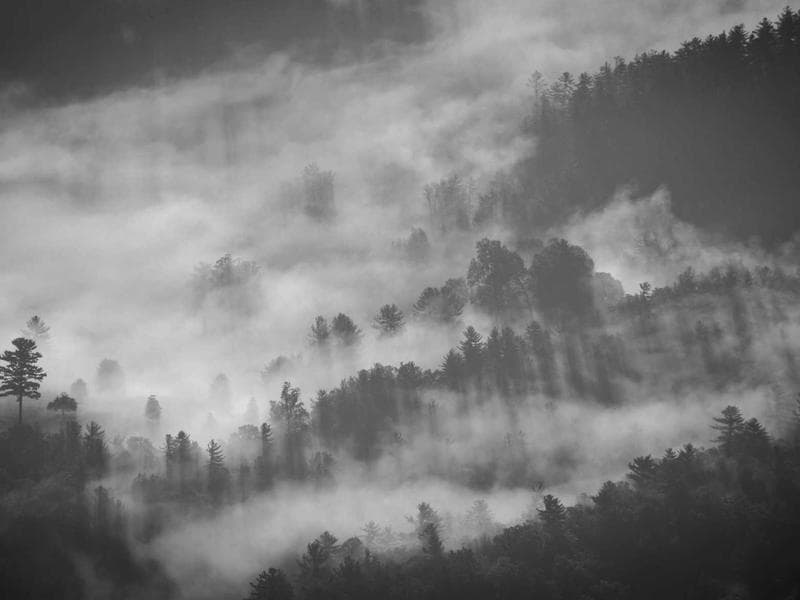 Scaling DTC Apparel Brand